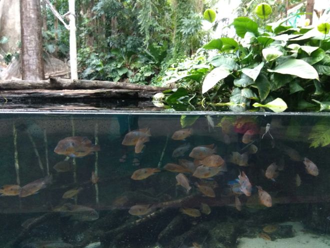 265cdf1a-50a1-4a8d-9ce4-26f73736c313