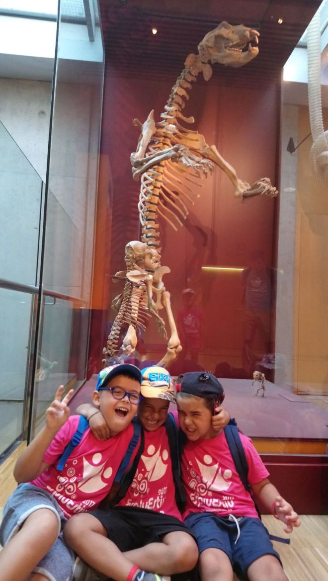 8cc1552f-c781-41a9-be30-e255ebe8edc6