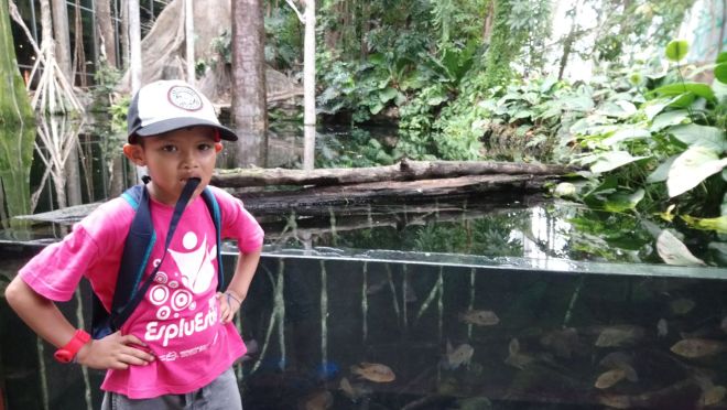 daa5c545-c0e5-49b3-b696-d7dc6a414dff