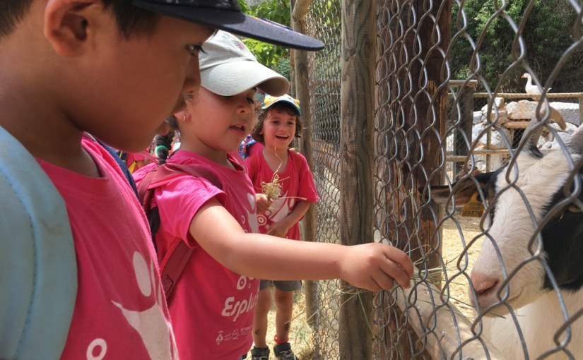 Els Botiguers i les&nbsp;Monedes