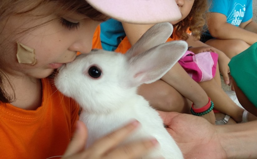 L’animal misteriós