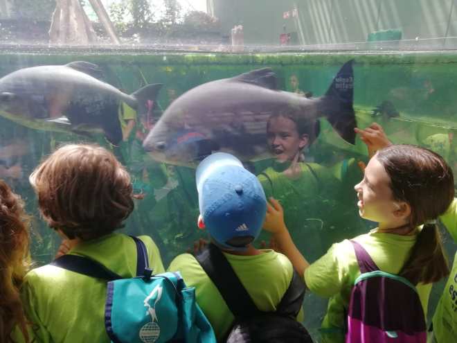 4a218ea2-3b4c-465d-be2a-8d2bbfd85a1d