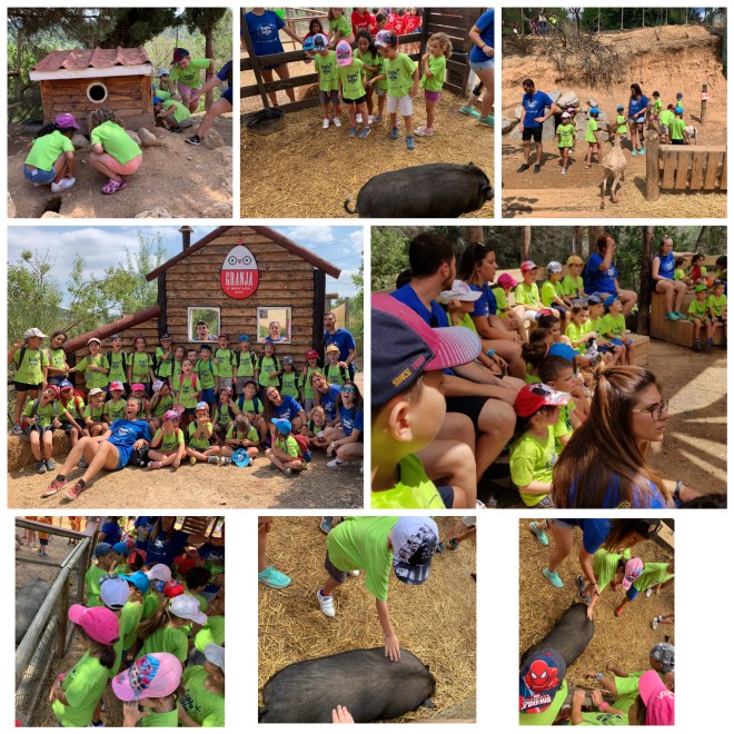 inCollage_20190720_171245530